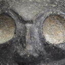 this-is-not-taino avatar