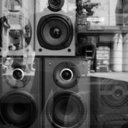 this-is-our-music avatar