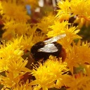 this-is-pure-cuteness avatar