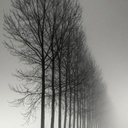 this-is-simply-me avatar