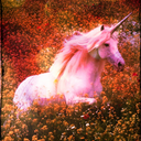 this-is-the-hardest-part avatar