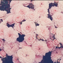 this-is-the-real-world-babe avatar