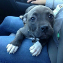 this-isnt-control avatar