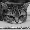 this-must-be-real avatar