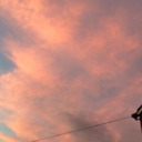 this-night-is-sparkling-89 avatar