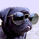 this-one-here avatar