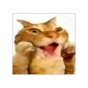 this-place-is-full-of-shitpost avatar