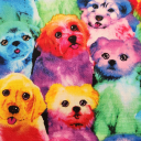 this-space-is-mine avatar