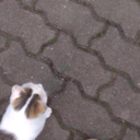 this-time-we-know-its-over avatar