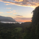 thisaesthetictho avatar