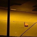 thisbloghasnoactualpurpose avatar