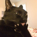 thisblogisathing-moved avatar