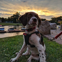 thisbravesoul avatar