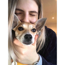 thisclassisridikulus avatar