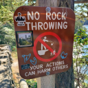 thiscorvidlife avatar