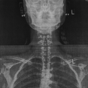 thisideofthemoon avatar