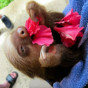 thisisamemorablename-blog avatar