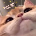 thisisanoldaccount avatar