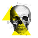 thisiscult-blog avatar