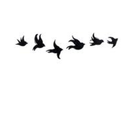 thisismeblog3blr-blog avatar