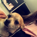 thisismykalopsia avatar