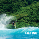 thisismysurf-blog avatar