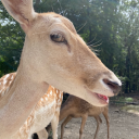 thisismyusername616 avatar