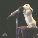 thisisnotlunatic avatar