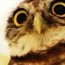 thisisprobably-illegal avatar