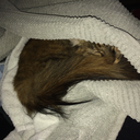 thisisridiculous1 avatar