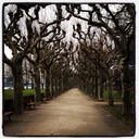 thisissarcasm avatar