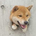 thisissingularity avatar