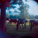 thisissostriking avatar