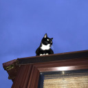 thisisthedifference avatar