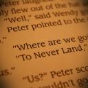 thisisthenevereverland avatar