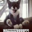 thisistherealsabrina avatar