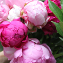 thisistrashyandsuperficial avatar