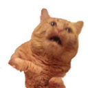 thisiswhyivebeenavoidingthissite avatar