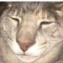 thiskhajiitlovesskooma avatar