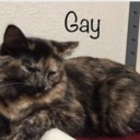 thismasterpieceofmine avatar