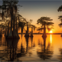 thismorningslove avatar