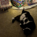 thismyspankbank avatar