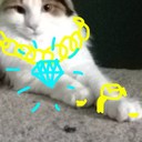 thisplaceleadsnowhere avatar