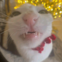 thisrandombitch avatar