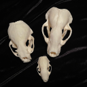 thiss-too-shall-pass avatar