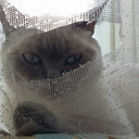 thissunhassetonyourheart avatar