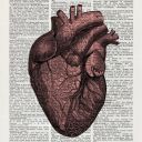 thistelltaleheart avatar