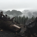 thistels-tea-and-necromancy avatar