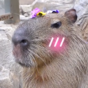 thisthatoranother avatar