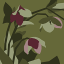 thistle-and-hellebore avatar